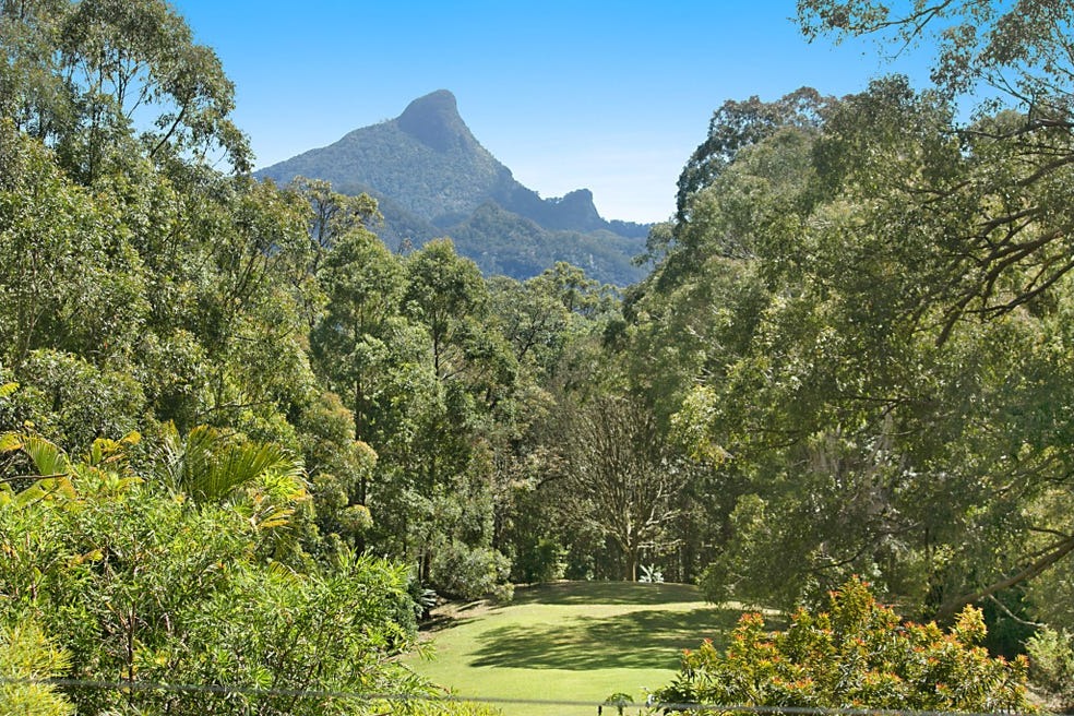 Wollumbin framed by native gardens