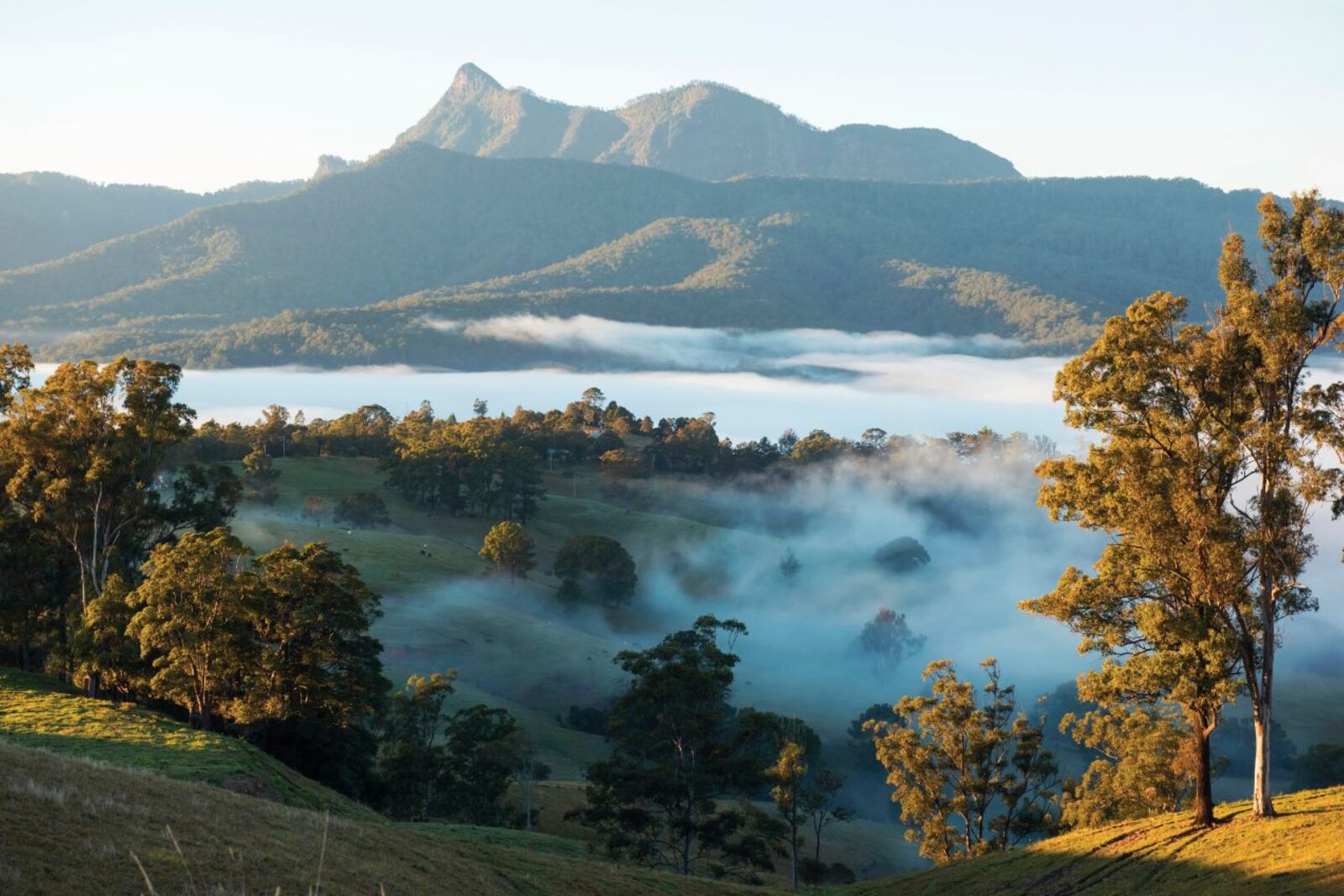 Wollumbin (Mt Warning) rising over the Northern Rivers
