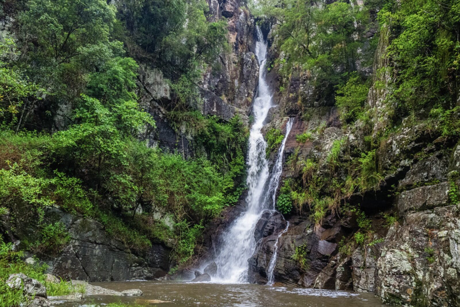 A cascading rainforest waterfall