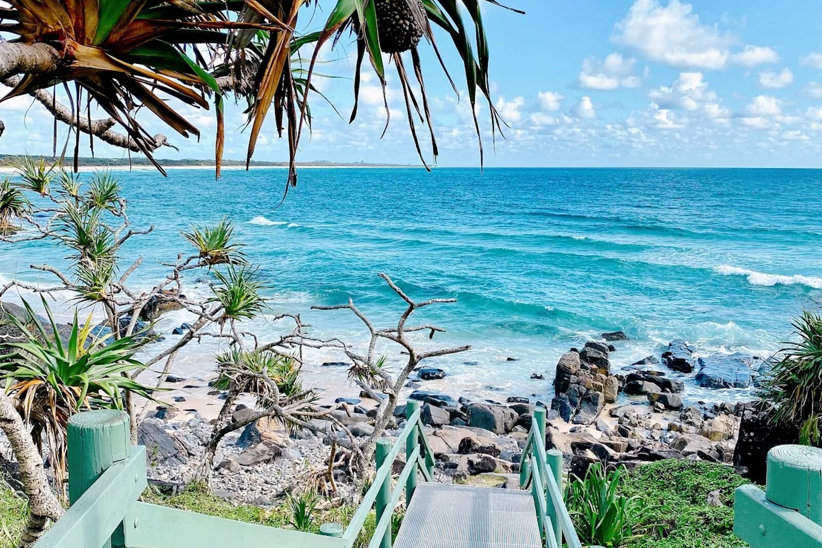 A boardwalk through palms to the beach
