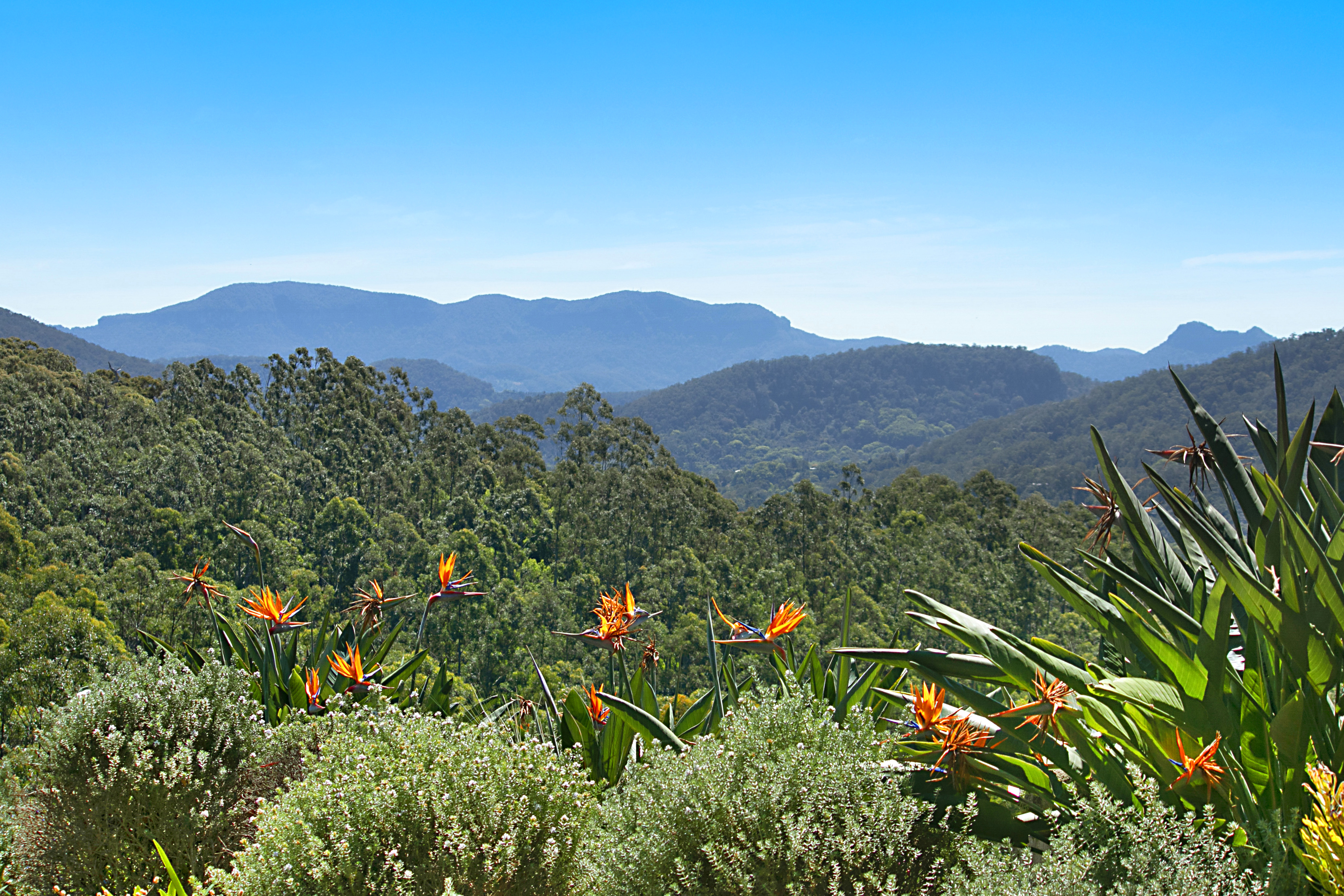 The grounds and gardens of Serra Luma
