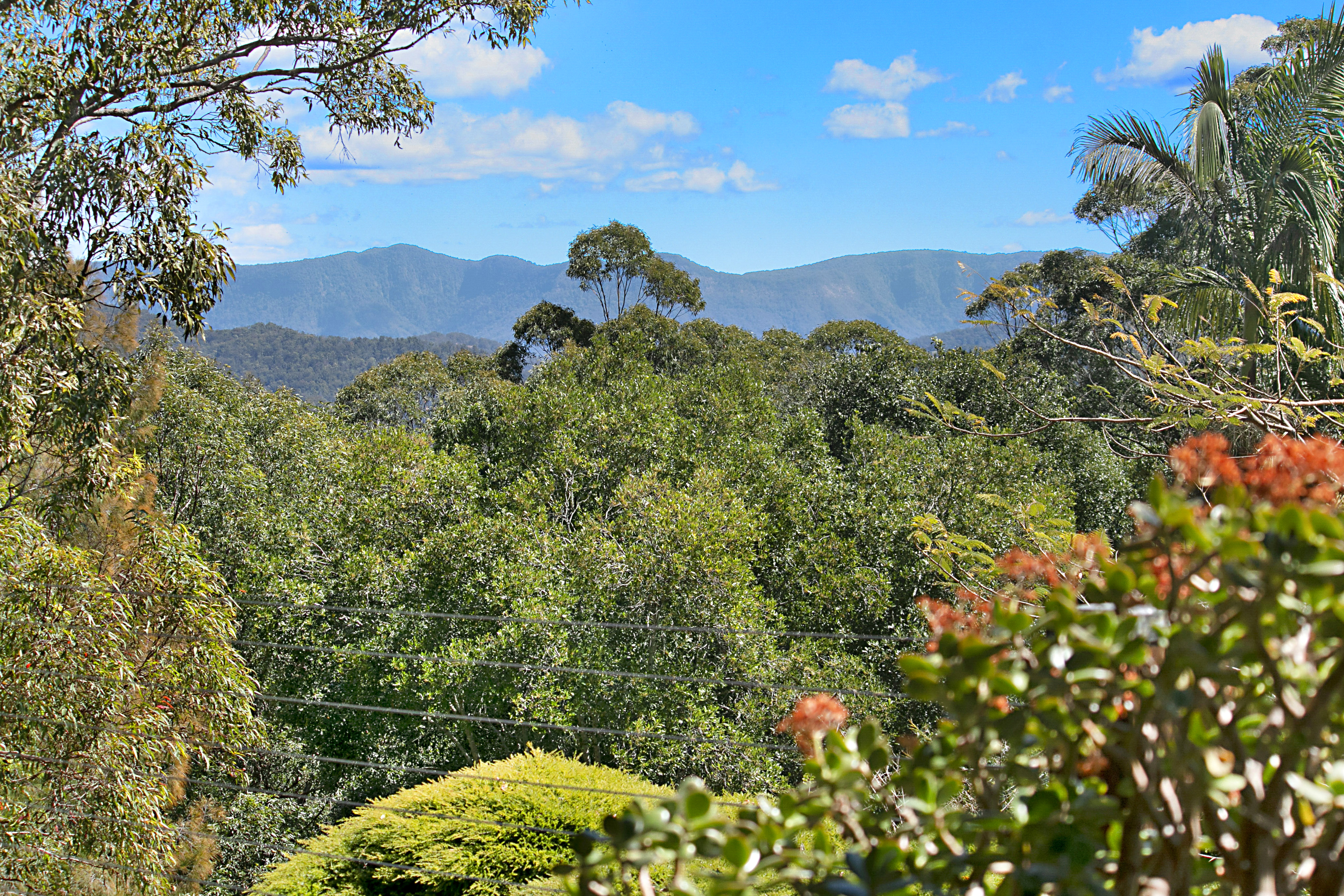 The grounds and gardens of Serra Luma