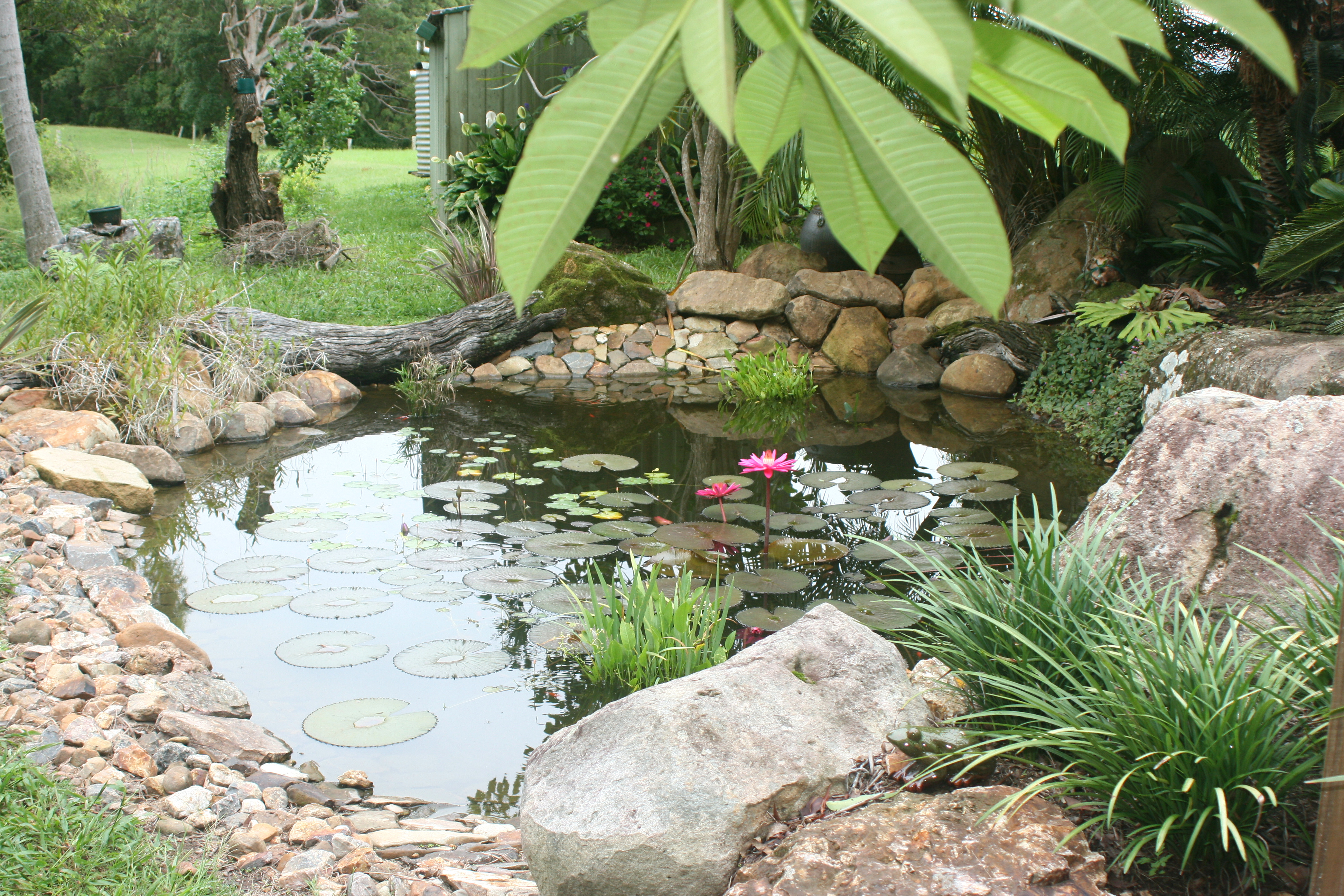 The grounds and gardens of Serra Luma