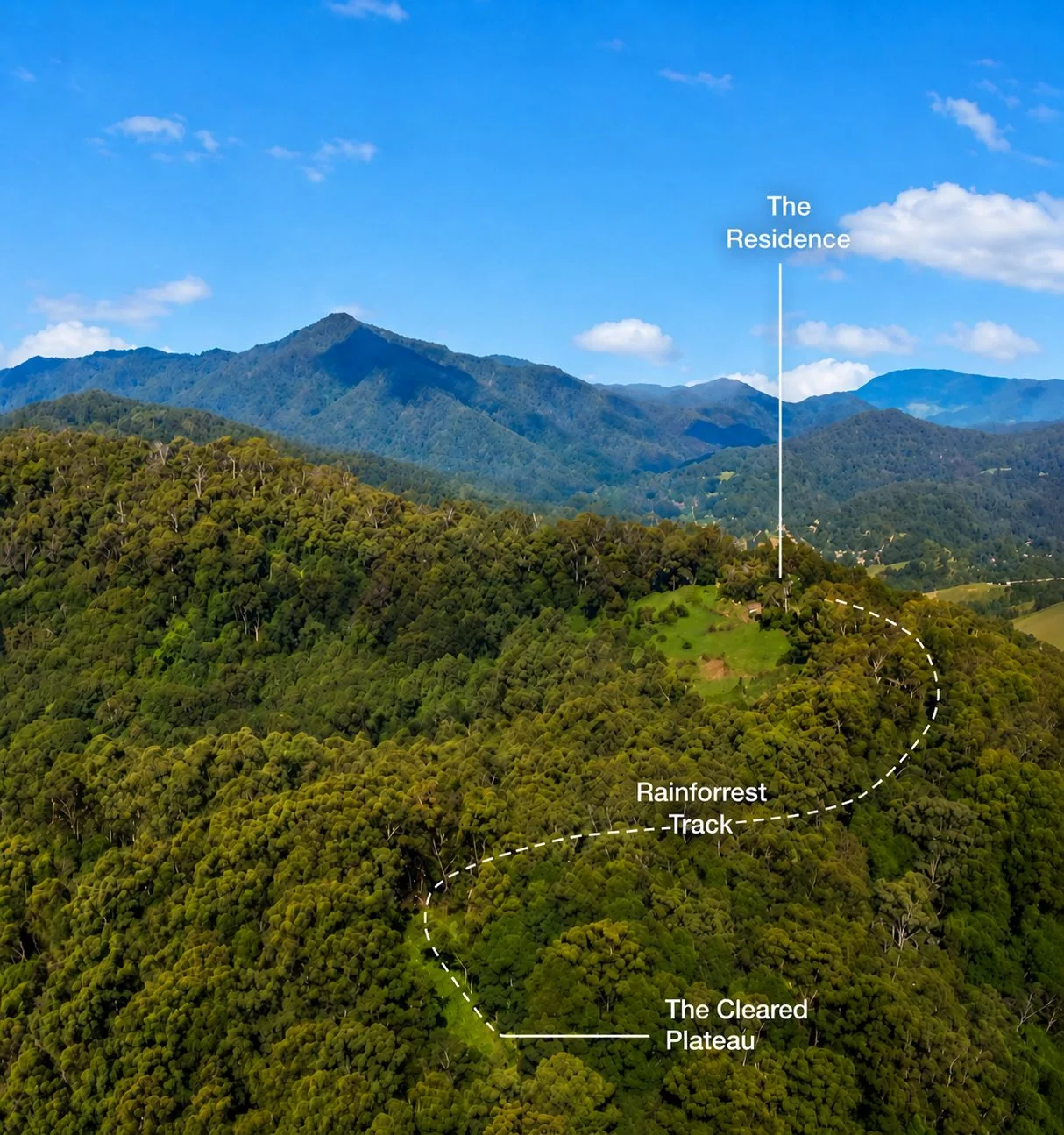 Aerial across the estate showing the residence, retreat plateau and rainforest track — a nature-based retreat opportunity